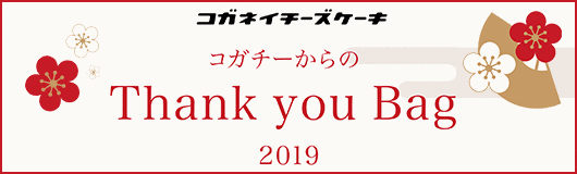 コガチー福袋2019